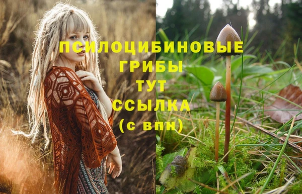 a pvp Богородицк
