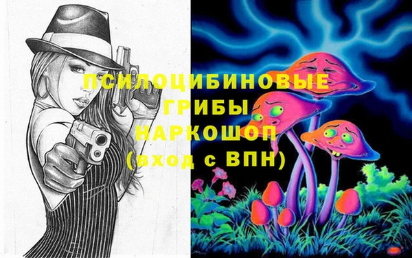 a pvp Богородицк