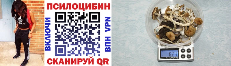 Галлюциногенные грибы MAGIC MUSHROOMS Наро-Фоминск