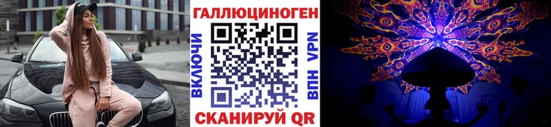 дарнет шоп  Наро-Фоминск  Галлюциногенные грибы Psilocybine cubensis 